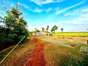 đất nền giá rẻ view cánh đồng xã eaktur chỉ 199 triệu