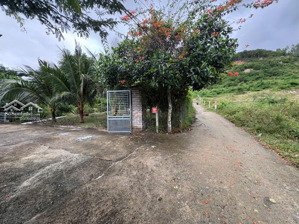 chỉ 1,8 triệu/m² - sở hữu ngay 3.000m² nhà vườn xinh đẹp thiên nhiên trong tầm tay