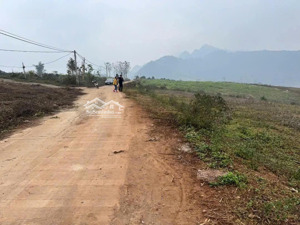 bán đất siêu hot tại tú lý, đà bắc, hòa bình, 760 triệu, 900m2