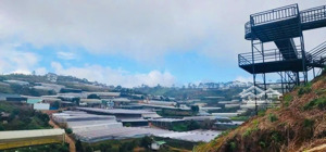 bán đất tại xuân thọ, đà lạt, 3,8 tỷ, 3000 m2 chỉ với giá tốt