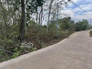cần bán 7 sào (7000m²) đất tại xã bầu trâm