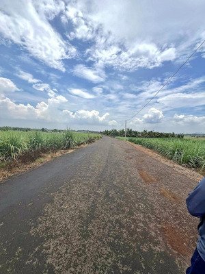 bán đất sào 1000m2, ngang 13.8m mặt tiền đường nhựa, xã hưng thịnh
