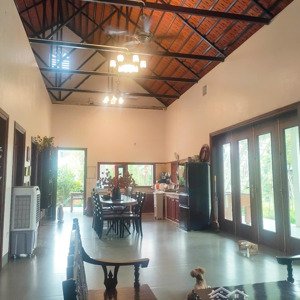 chỉ 15,x tr/m2 sở hữu ngay khu nghỉ dưỡng 1223m2 tại đông tảo full vườn, ao, đường ô tô tránh