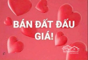 chính chủ gửi bán 02 lô đất tại đấu giá đình quảng - mỹ hưng ( lô áp góc và lô mặt chính)