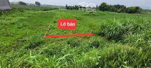 100 mét phun thổ cư mặt trục chính liên xã buôn bán kinh doanh cực tốt- giá rất tốt