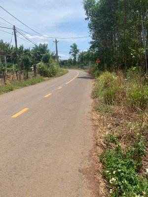 bán đất tỉnh lộ 765b, xã bảo bình, cẩm mỹ, đồng nai chỉ với 1,38 tỷ, 8268 m2 có 100m2 thổ cư