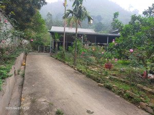 bán nhà riêng tại đà bắc, hòa bình, diện tích 1020 m2 đẹp xuất sắc