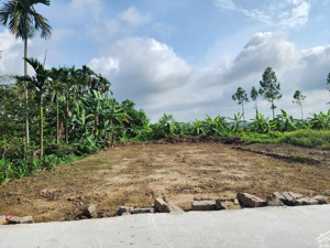 chỉ hơn tỷ mà có ngay 198m2 lô đất lâm động, ngõ ô tô. tương lai gần ngay đường vành đai. không