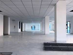 mặt bằng tầng 5 dt 500m2 giá thuê 50 triệu/th thích quảng đức vcn phước hải