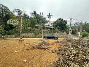 hàng hiếm đất tiến xuân -thạch thất view cánh đồng thoáng đẹp các biệt thự xung quanh