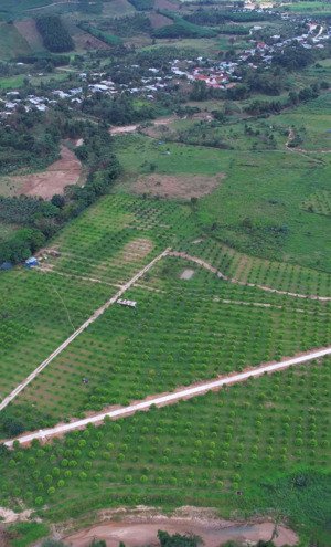 bán 22 hecta sầu riêng thái giá chỉ 350k/m giáp sông dài, huyện khánh vĩnh, khánh hoà 0788.558.552