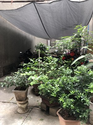 bán đất ba la, hà đông, cạnh pccc1, phân lô, ô tô, 50m ra phố