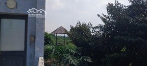 căn nhà vườn sẵn hồ cá .giá mềm nhũn
