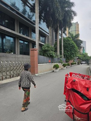 bán biệt thự song lập ,phố nguyên hồng,đống đa