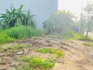 nóng!! bán đất chính chủ mt phạm thái bường, nhơn trạch.shr. 100m2 full tc xây tự do. giá 1.6 tỷ