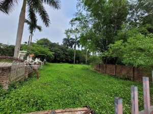 bán đất sát xanh villas, thạch thất, hà nội, giá thỏa thuận, 646m2