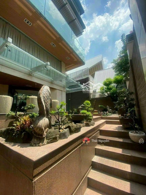 villa có hồ bơi đẳng cấp khu cư xá bắc hải quận 10, dt: 16 x 21m, hầm 3 lầu, giá 90 tỷ
