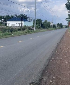 bán 1 sào full hồng mặt tiền đường nhựa lớn liên huyện thông xuân lộc - long khánh