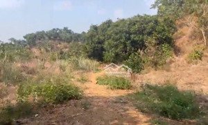 bán 2.2 ha đất tân phước, huyện đồng phú