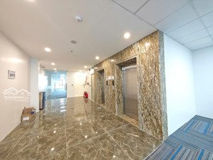 chính chủ cần cho thuê sàn văn phòng 260m2 mặt phố trần hoà, ngay gần vũ tông phan giá mềm