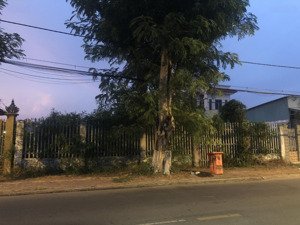 cần cho thuê 800m2 đất mặt tiền duyên hải, cần thạnh, cần giờ giá 30tr/tháng tl