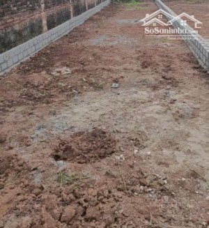 bán đất đẹp xã tự nhiên thường tín hà nội đường ô tô tránh giá chỉ 29 triệu/m²