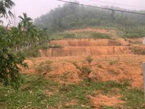 bán đất tại xã tiến xuân, huyện thạch thất, hà nội, 4,5 triệu vnd, 3300 m2 hàng hiếm