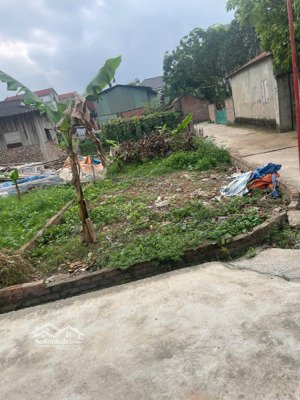bán đất lô góc xuân giang sóc sơn, diện tích chuẩn giá siêu hợp lý