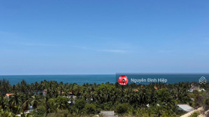 bán lô biển vip 5000m2 cạnh sungroup nguyễn đình chiểu, hàm tiến sân bay giá tốt chỉ 2.xtr/m2