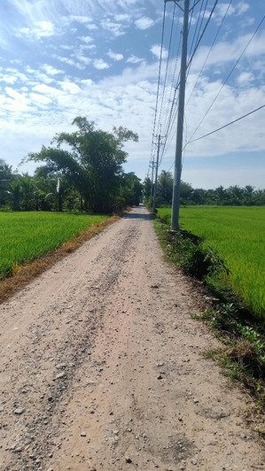 siêu hot đất bán tại đỗ văn dậy, 4,2 triệu / m2, 6500 m2