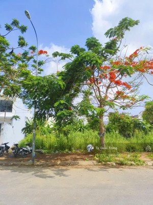 cần tiền bán lô gấp mtđ.võ việt tân,nhị mỹ,gần chợ cai lậy,tiền giang. sổ hồng riêng, 120m2, 500tr.