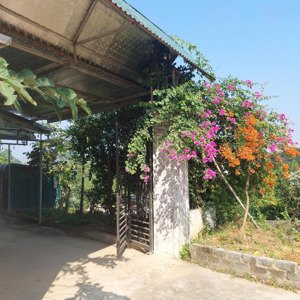 bán nhà riêng 435m2 đối diện cổng khu dầu khí lasaveur