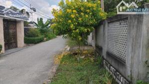 Gần cầu An Hóa, Long Hòa, Bình Đại, Bến Tre.Ngộp bank bán rẻ nhà đất 174m2 full thổ. Giá 980tr