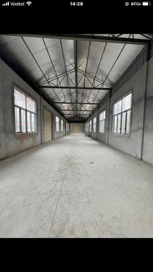 chính chủ cho thuê nhà xưởng vị trí đắc địa tại thị trấn kim tân