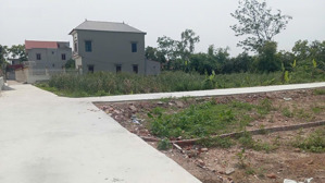 bán đất gia bình, bắc ninh. 130m2 * mt 5m * 1,72 tỷ. đường ô tô, full thổ cư.