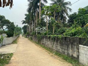 cần chuyển nhượng 3 lô đất tại xã phú nghĩa huyện lạc thủy tỉnh hoà bình.