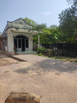 cho thuê nhà nguyên căn mặt tiền đường nguyễn thị rành.