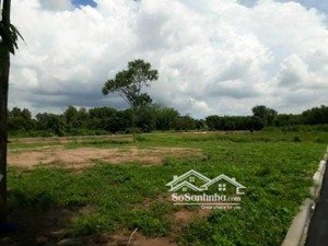 bán đất gần mt quốc lộ 51, 35 triệu / m2, 1000 m2, long thành, đồng nai, giá siêu hời