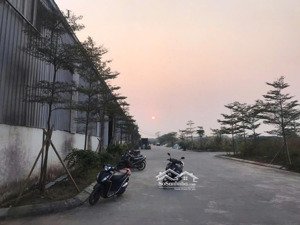 chuyển nhượng kho xưởng 3000m² ở mai đình, sóc sơn, hà nội