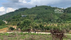chính chủ - bán đất mặt tiền ngõ khu dân ở đại lào, bảo lộc 4,6 tỷ