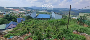 bán đất đa sar, 7,9 tỷ, 1,200m2, view đẹp, nhiều tiện ích
