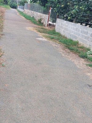bán đất vườn cây trái, gần hồ phù hợp cho khu nghỉ dưỡng. lh 0979976979