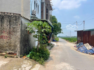 bán đất 50m tổ dân phố an phú thị trấn chúc sơn