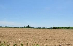 cần bấn gấp quĩ đất siêu đẹp mặt tiền đường đào trí, p. phú thuận, q7. giá bán: 500 tỷ - dt 7200 m2