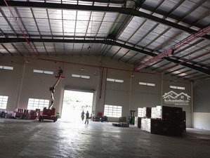 cho thuê kho 1000-4800m2 kcn cát lái q2, pccc tự động đạt chuẩn, kho cao 11m