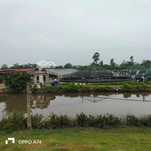 cần chuyển nhượng trang trại tôm 32000m2 tại nga sơn, thanh hóa, giá tl, lh 09645643924