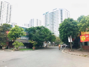 biệt thự tây nam linh đàm, lô góc, vườn hoa