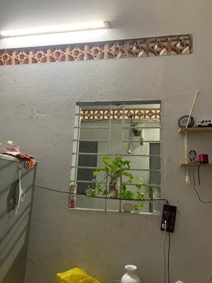phòng trọ nhiều cây xanh, yên tĩnh, đồi cao không sợ ngập nước