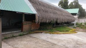 chính chủ cần bán nhà vườn 5000m2 có 200m2 thổ cư, dt 37 x 132, sát kcn thịnh phát, tân đức