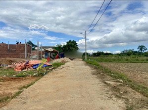 bán đất trồng cây khu ont view lúa, view sông ở thôn diêu phong.